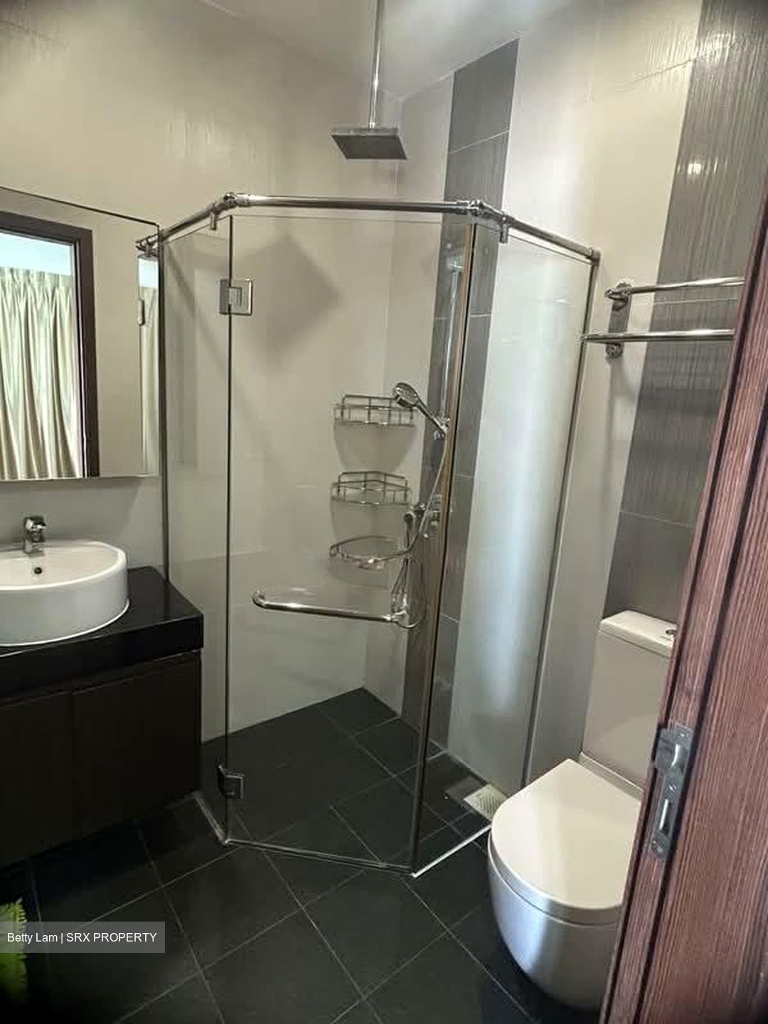 Palmera East (D14), Apartment #574160871